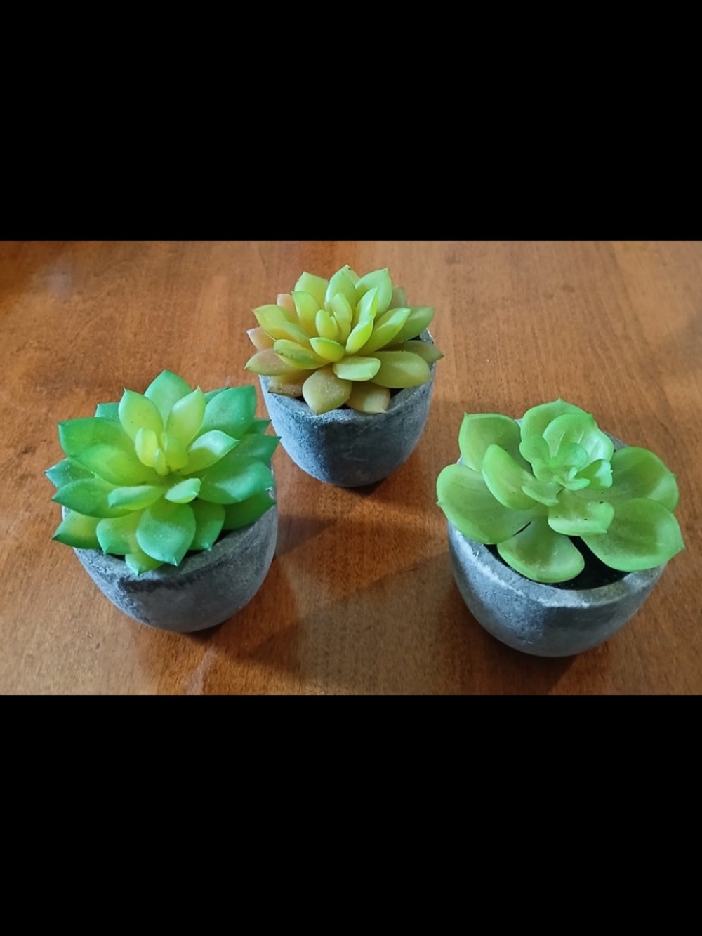 Set of 3 Green Faux Succulents in Gray Concrete Pots